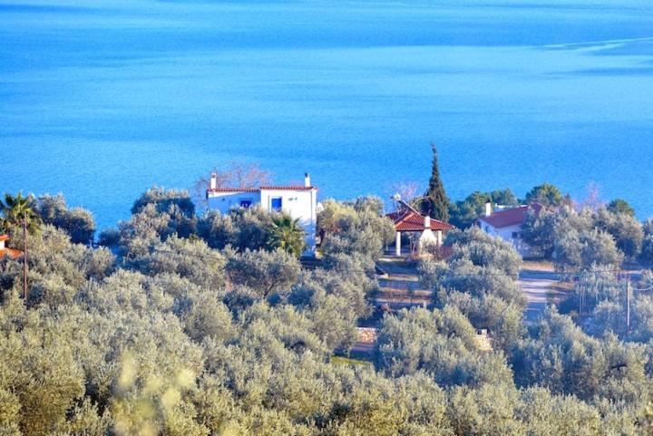 Four Independence Houses By The Sea Γλύφα Εξωτερικό φωτογραφία
