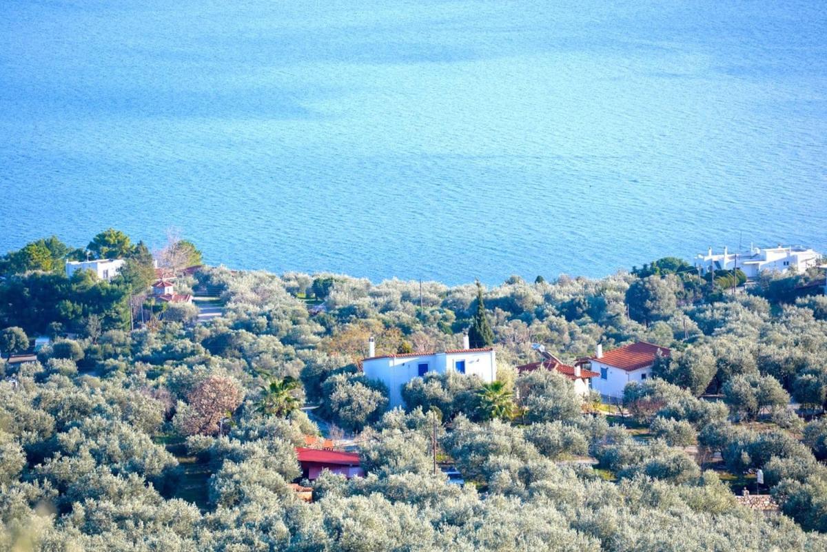 Four Independence Houses By The Sea Γλύφα Εξωτερικό φωτογραφία